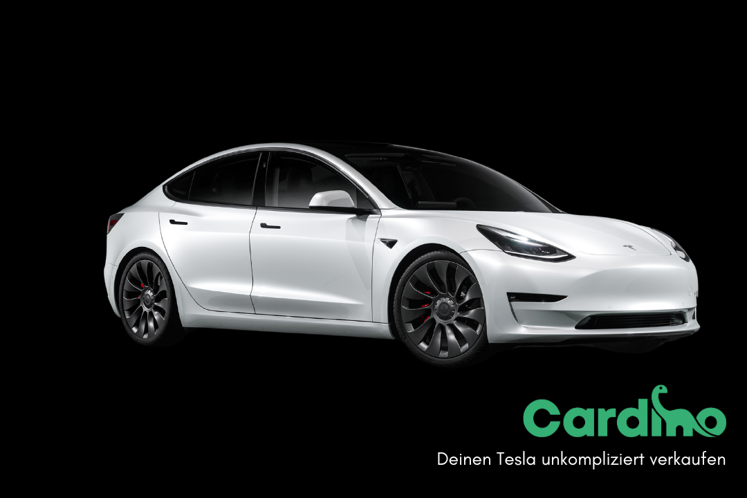 Model 3 2021 x cardino