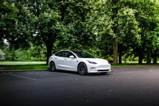 Tesla parkend vor Bäumen