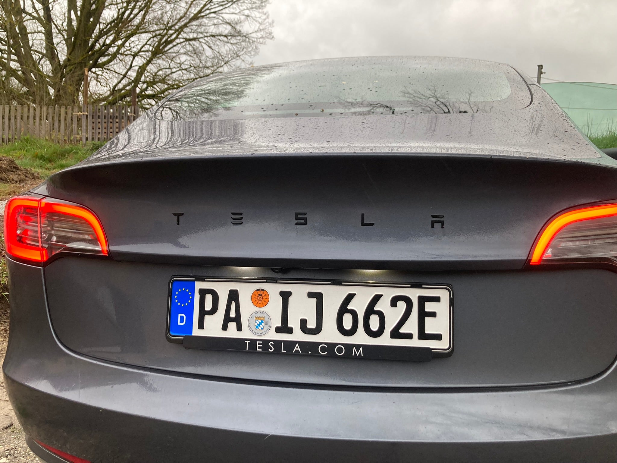 Tesla Logo Schriftzug Kofferraumdeckel