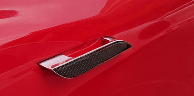 Door handle cover Model S Carbon